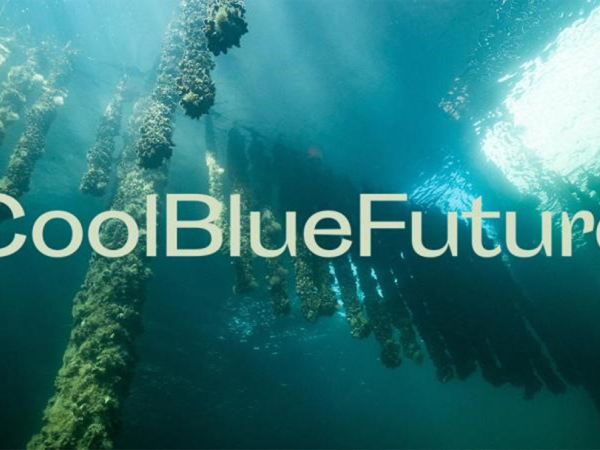 Uniwersytet Morski w Gdyni Krajowym Koordynatorem Platformy Cool Blue Future