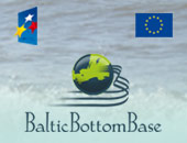 Baltic Bottom Base